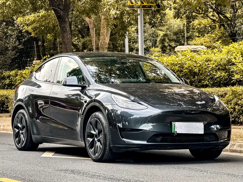 Tesla Model Y — фото 6
