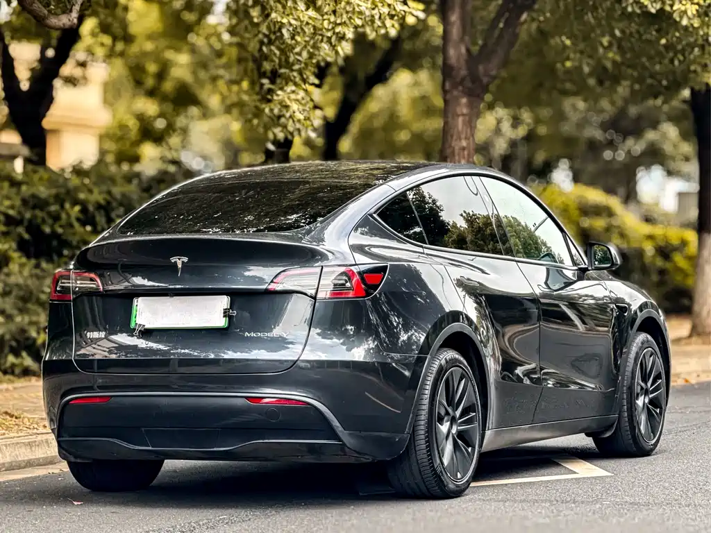 Tesla Model Y — фото 7