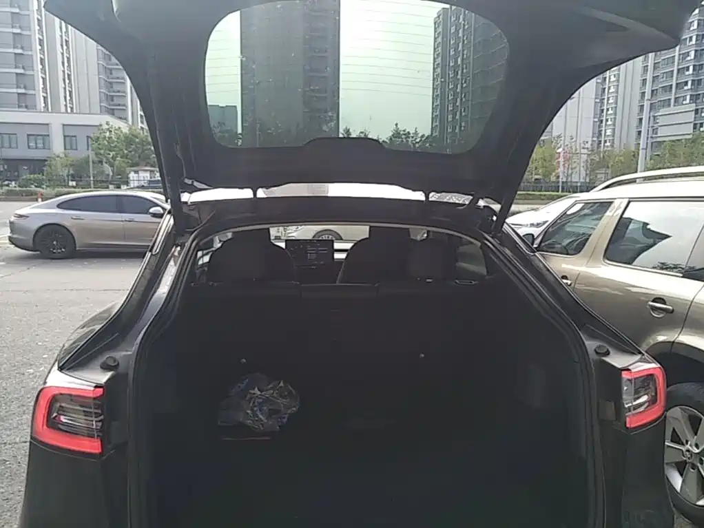 Tesla Model Y — фото 14
