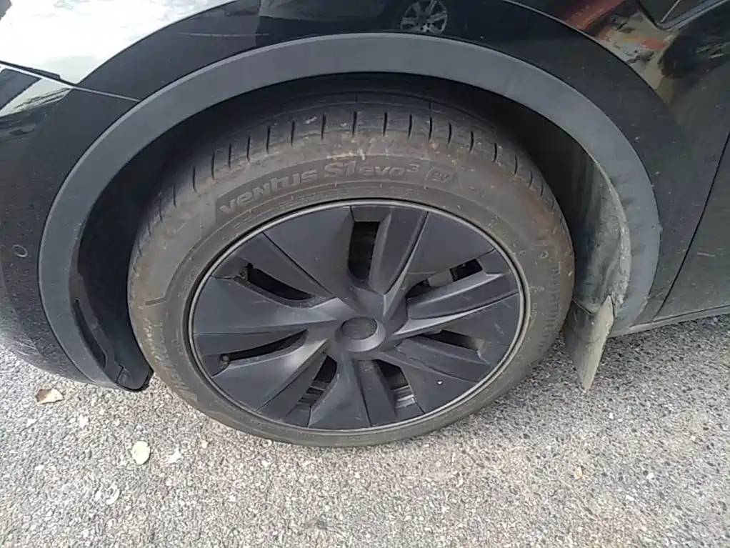 Tesla Model Y — фото 23