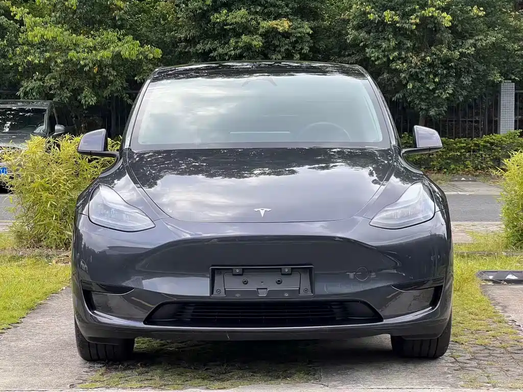 Tesla Model Y — фото 2