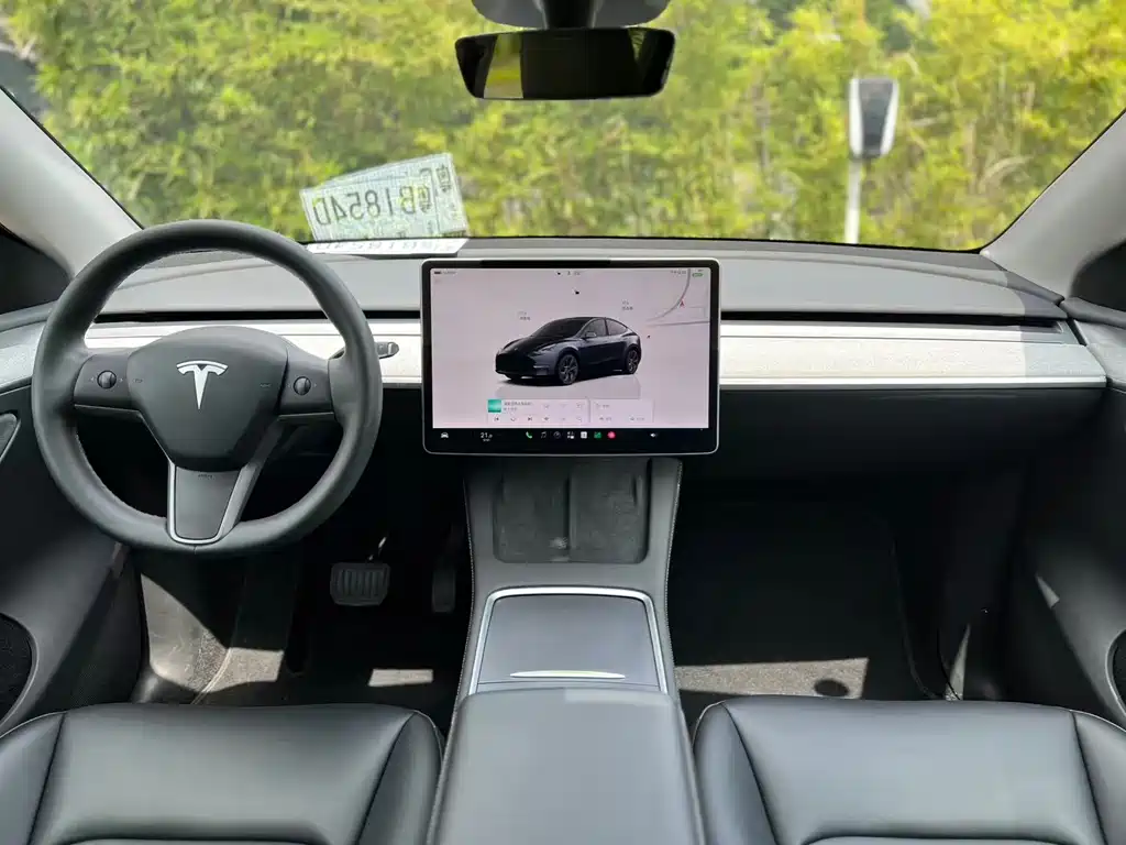 Tesla Model Y — фото 14