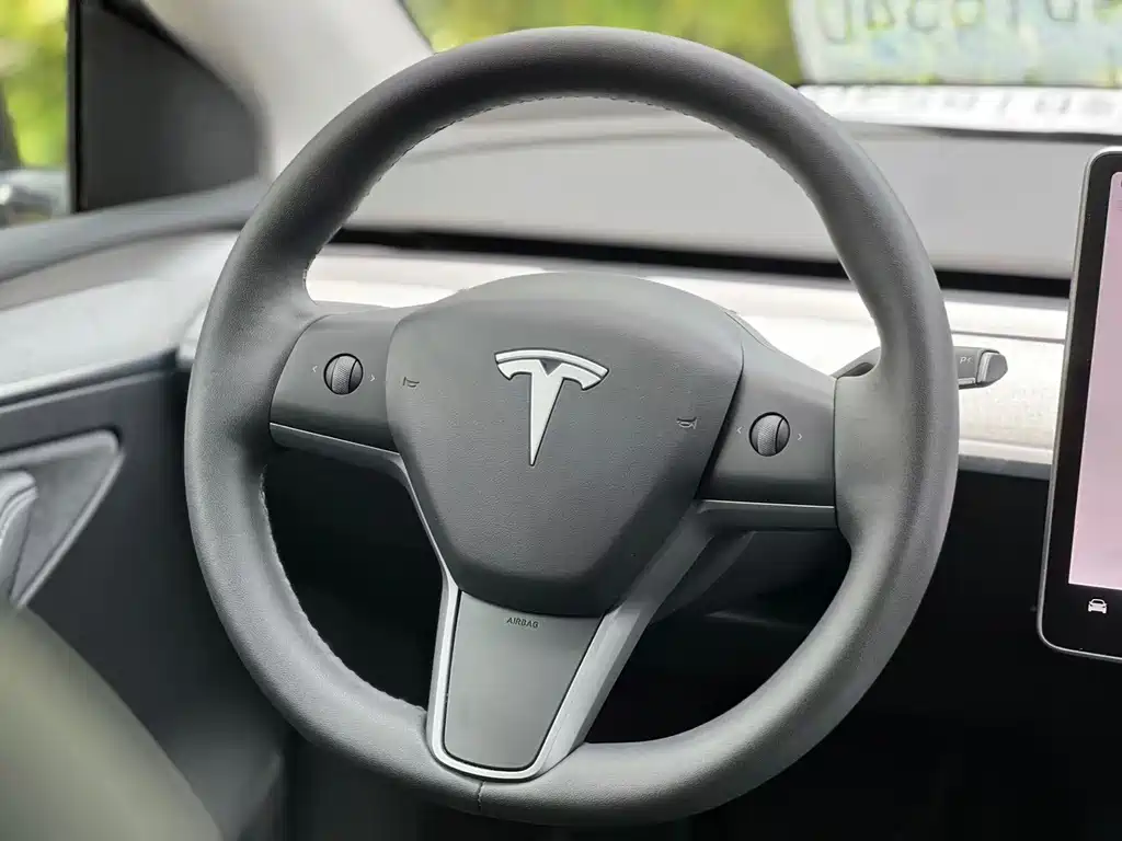 Tesla Model Y — фото 15