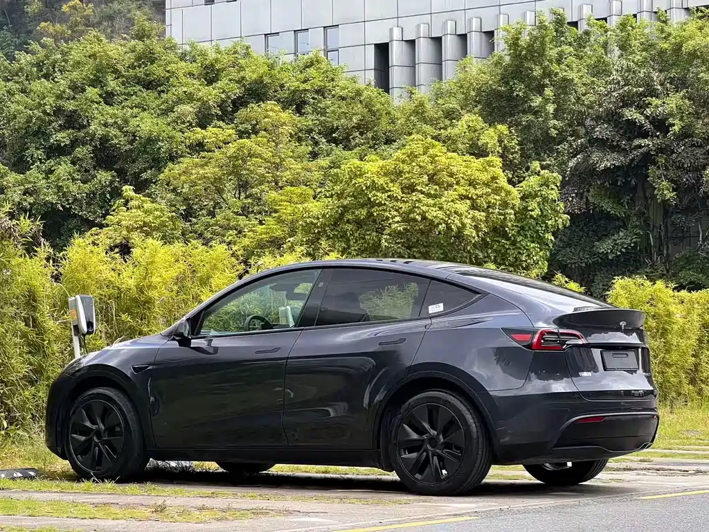 Tesla Model Y — фото 5