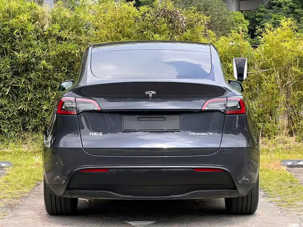 Tesla Model Y — фото 6