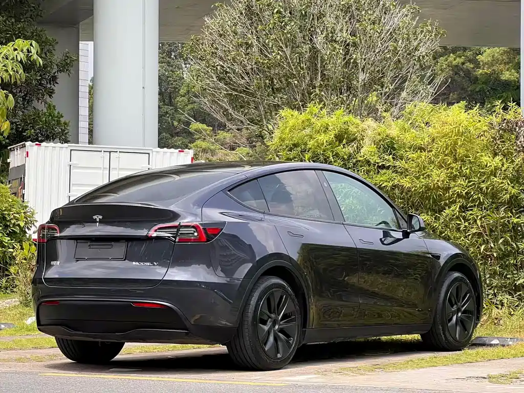 Tesla Model Y — фото 7