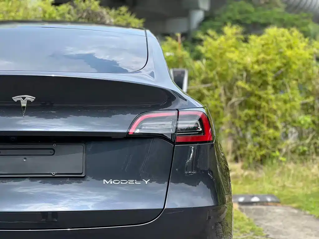 Tesla Model Y — фото 8
