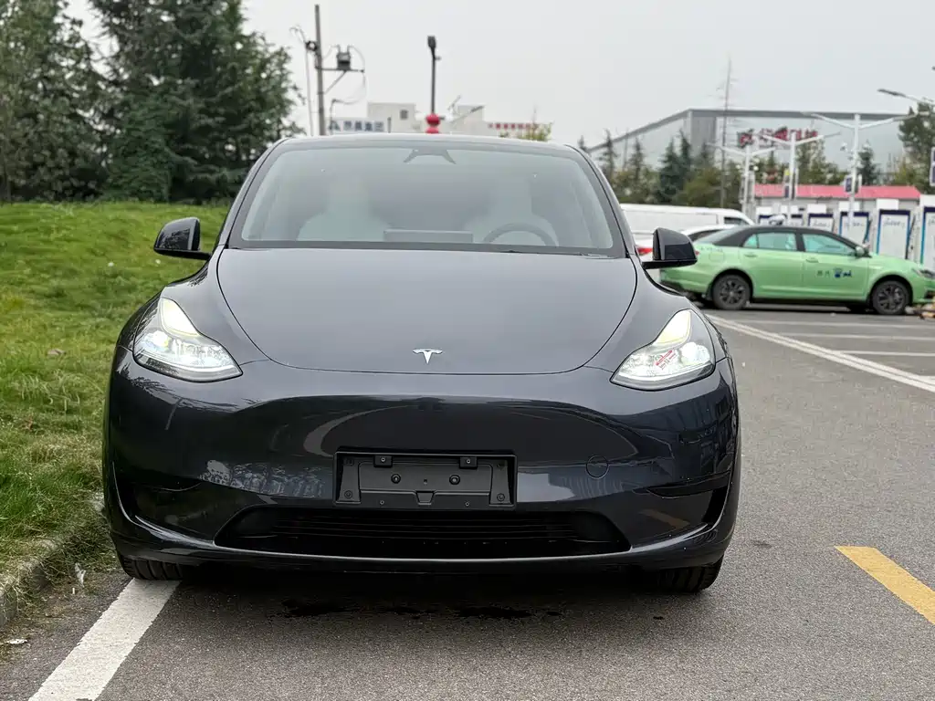 Tesla Model Y — фото 2