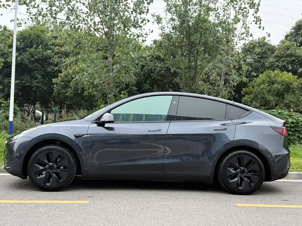 Tesla Model Y — фото 3