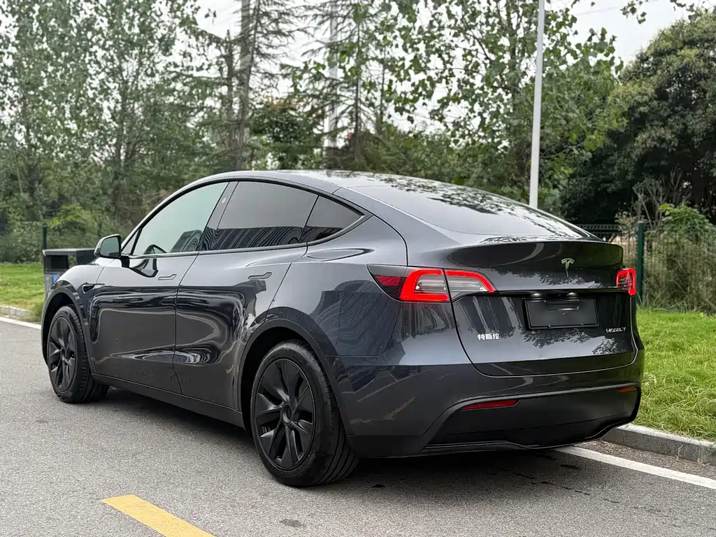 Tesla Model Y — фото 4