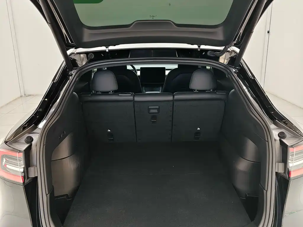 Tesla Model Y — фото 18