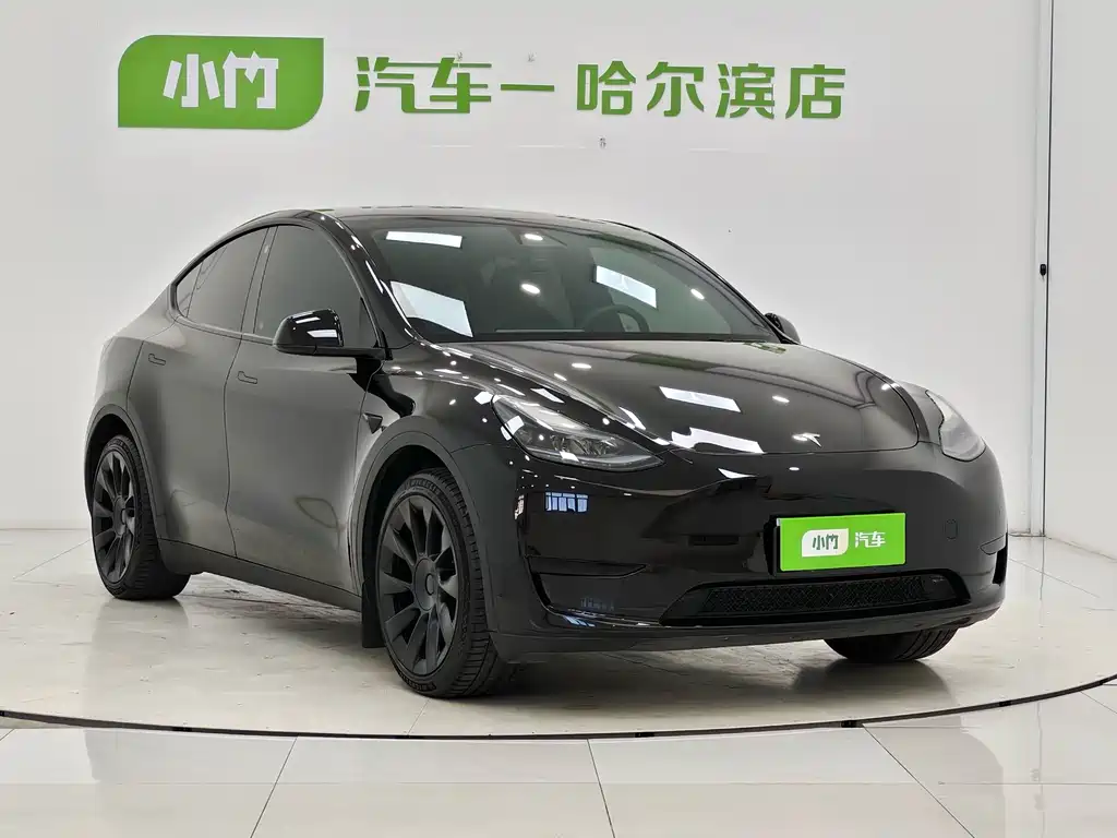 Tesla Model Y — фото 3