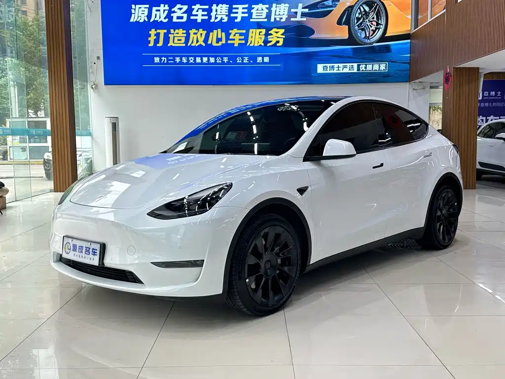 Tesla Model Y — фото 2