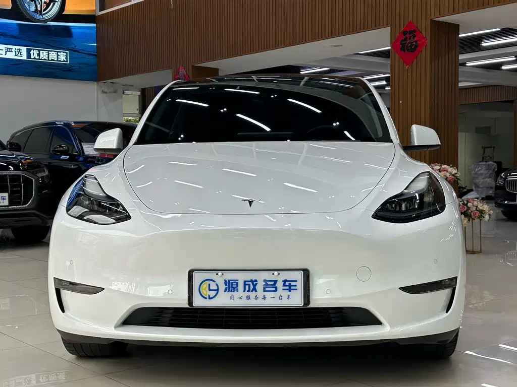 Tesla Model Y — фото 3