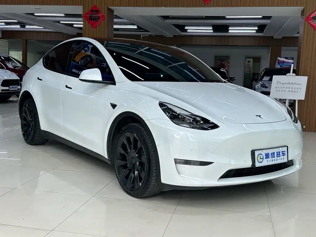 Tesla Model Y — фото 4