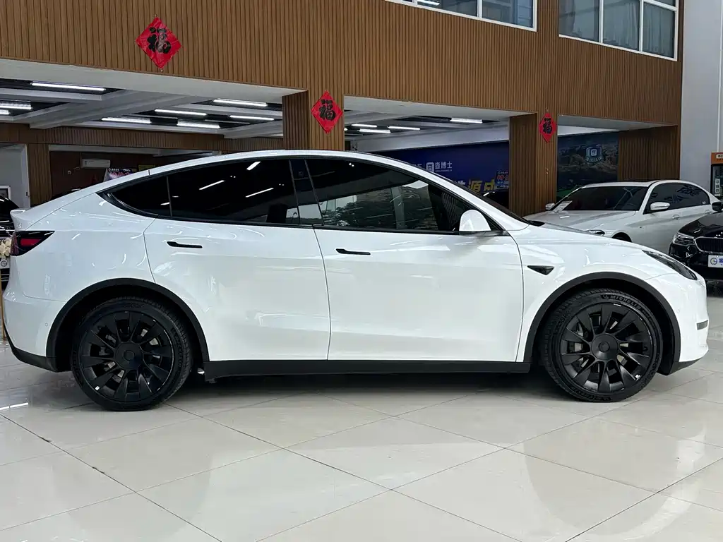 Tesla Model Y — фото 5