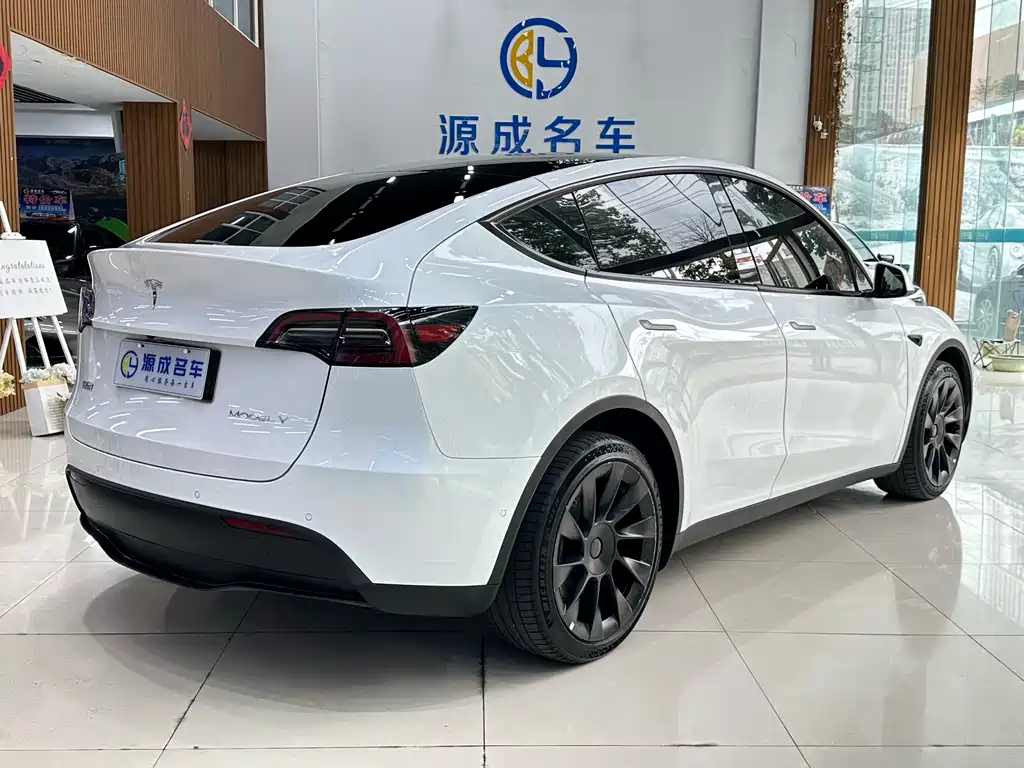 Tesla Model Y — фото 6