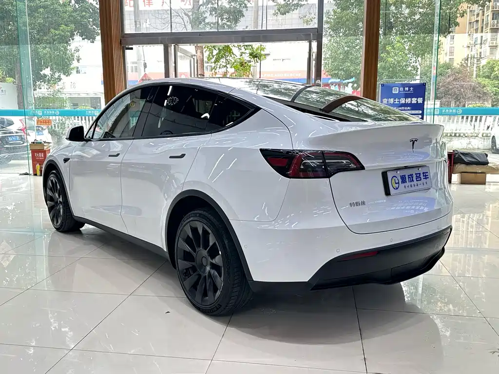 Tesla Model Y — фото 8