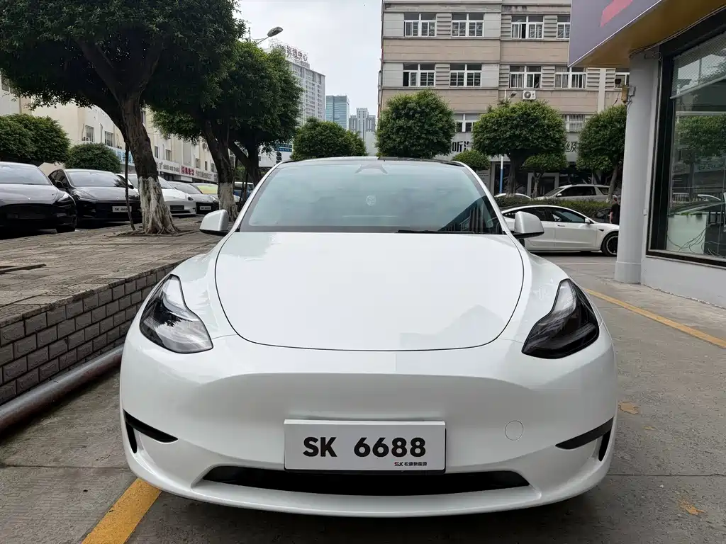 Tesla Model Y — фото 2