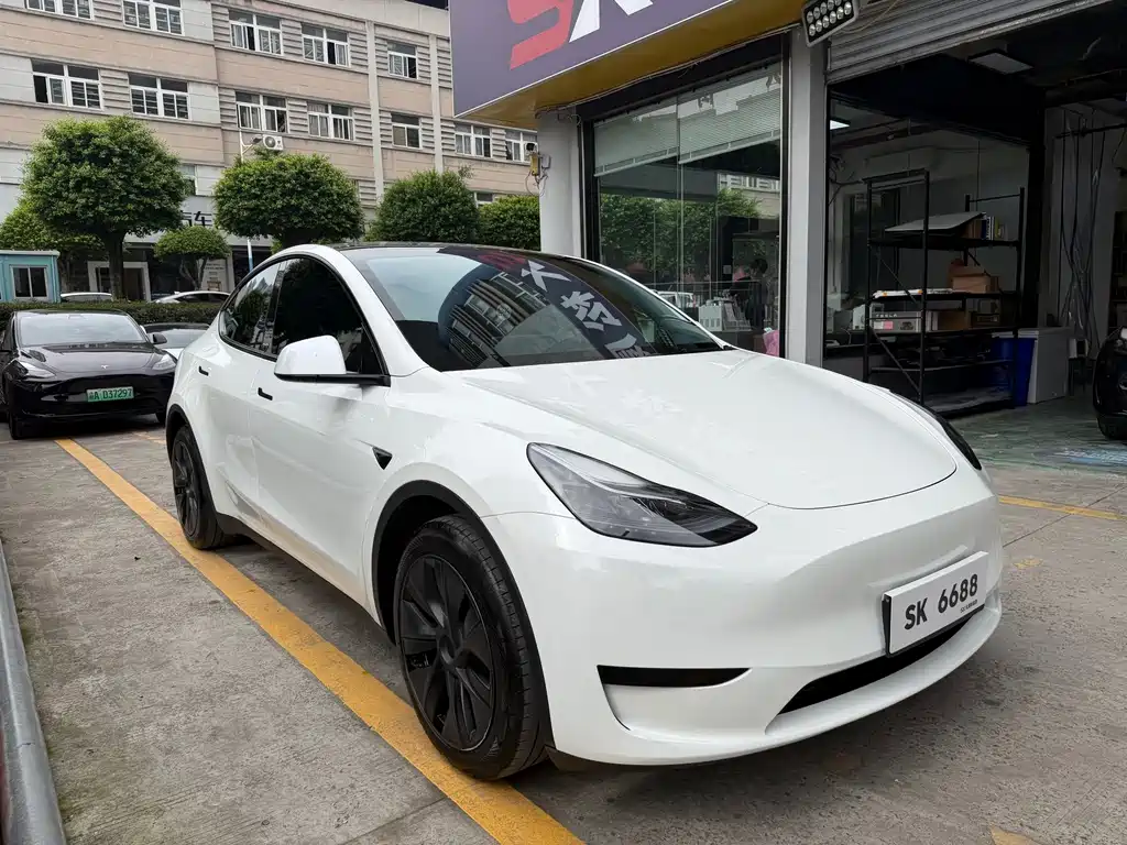Tesla Model Y — фото 3