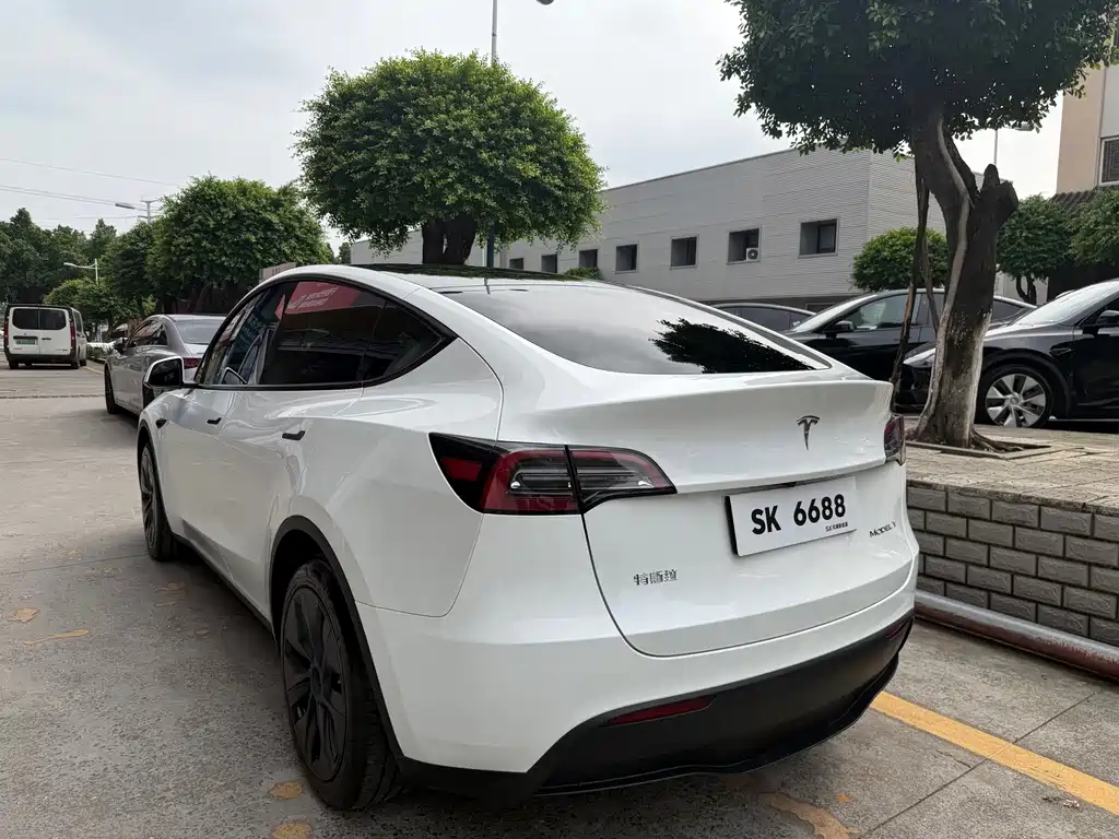 Tesla Model Y — фото 6