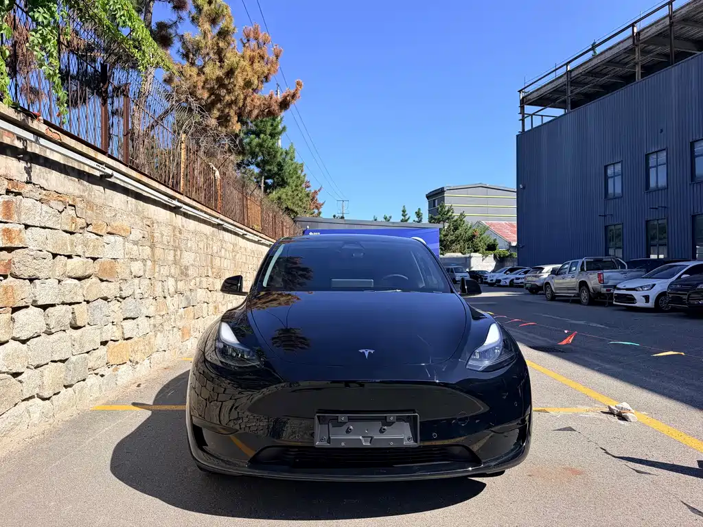 Tesla Model Y — фото 2