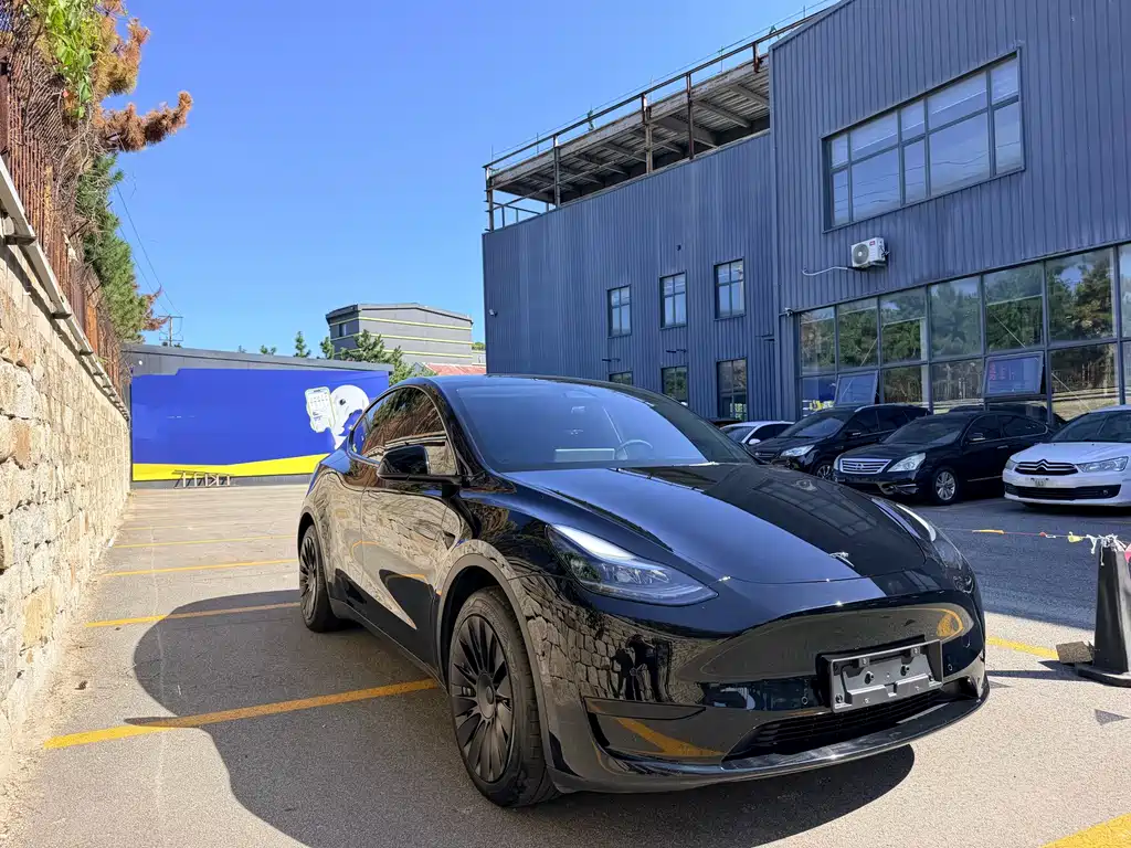 Tesla Model Y — фото 3