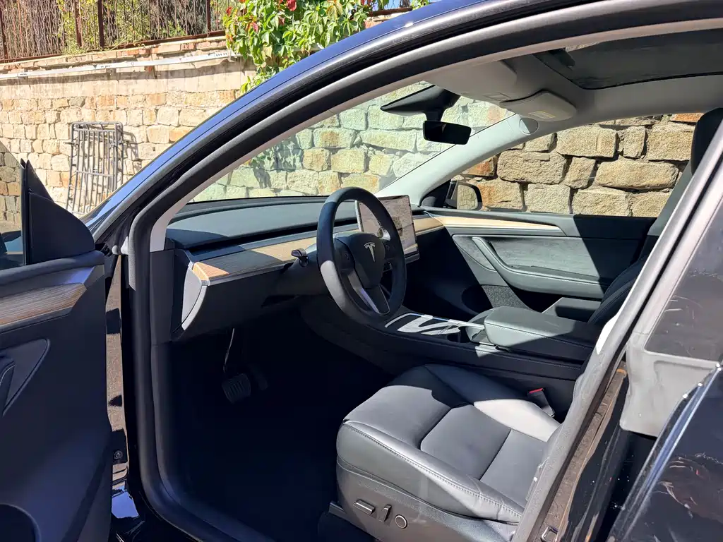 Tesla Model Y — фото 4