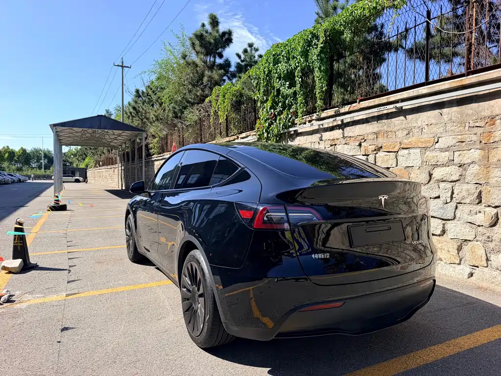 Tesla Model Y — фото 7
