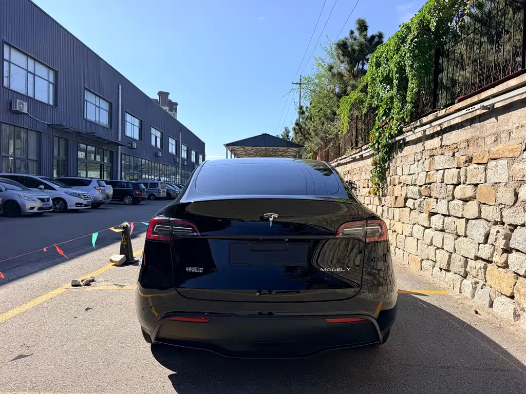 Tesla Model Y — фото 8