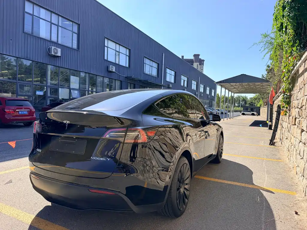 Tesla Model Y — фото 9
