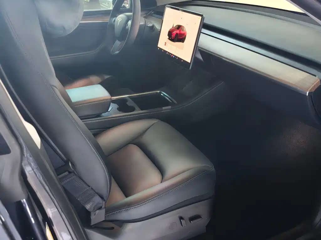 Tesla Model Y — фото 9