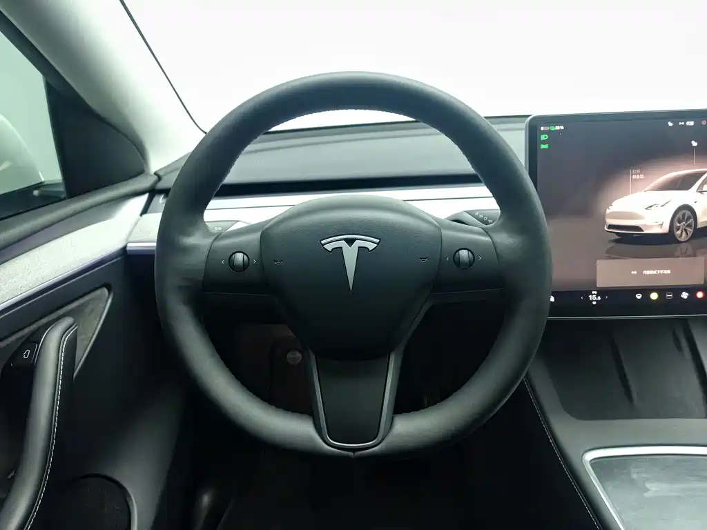 Tesla Model Y — фото 14