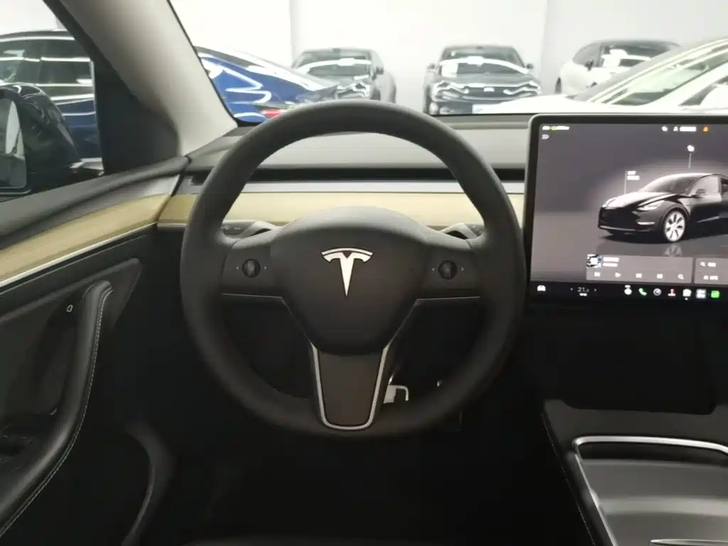 Tesla Model Y — фото 11
