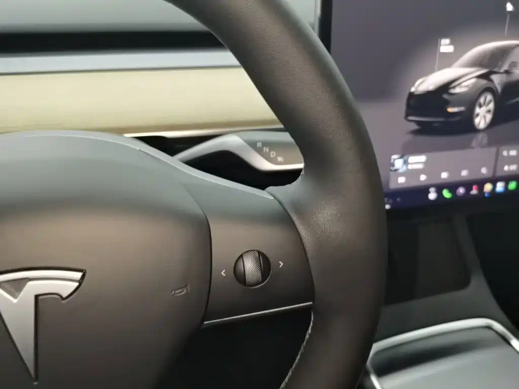 Tesla Model Y — фото 14