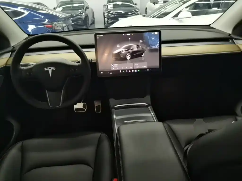 Tesla Model Y — фото 10