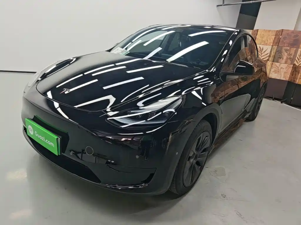 Tesla Model Y — фото 2