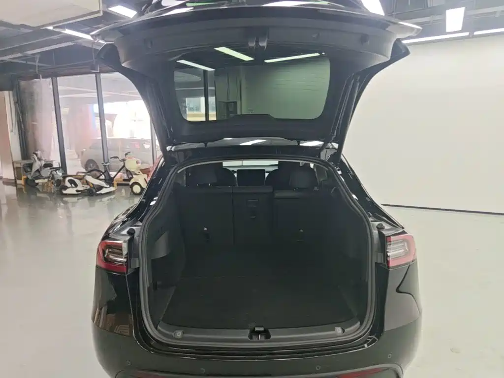 Tesla Model Y — фото 19