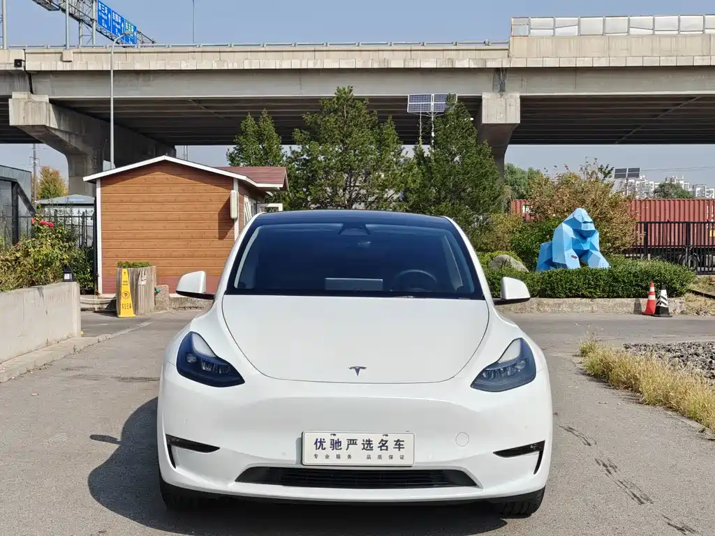 Tesla Model Y — фото 2