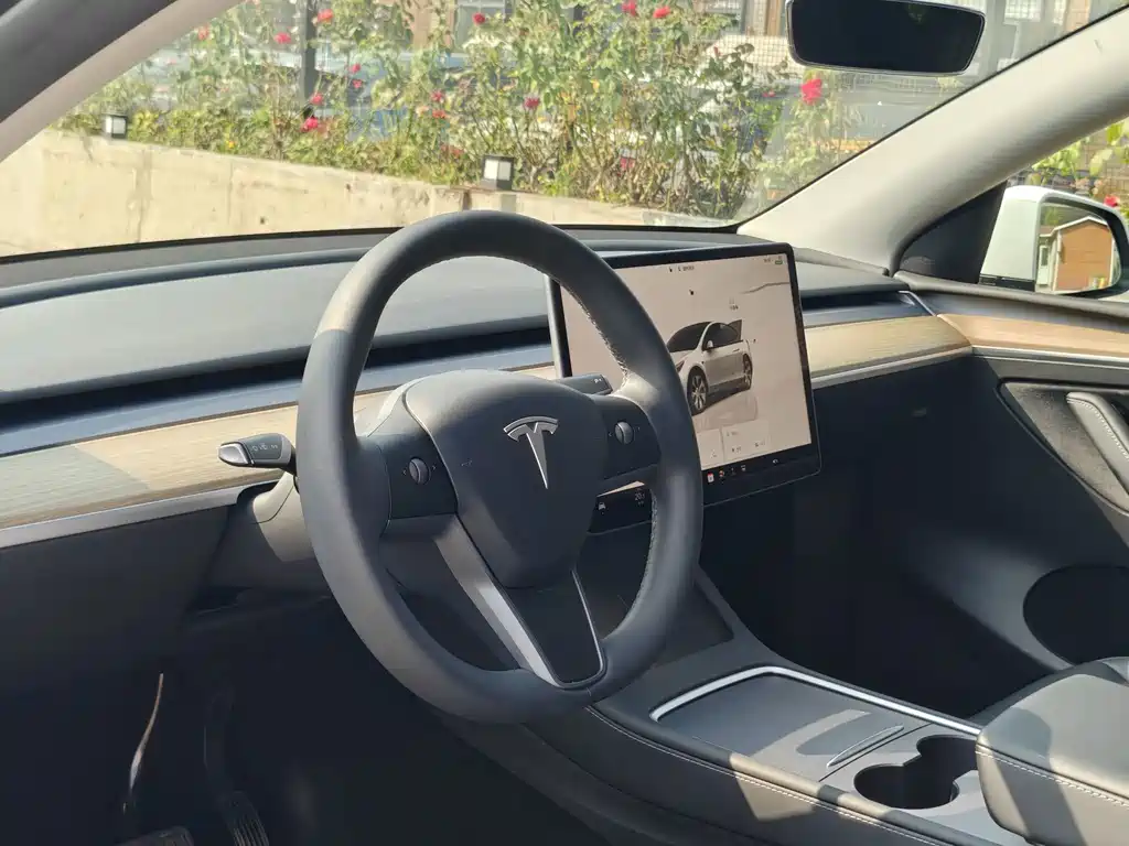 Tesla Model Y — фото 13