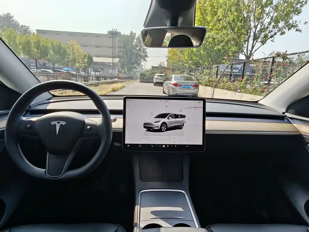 Tesla Model Y — фото 19