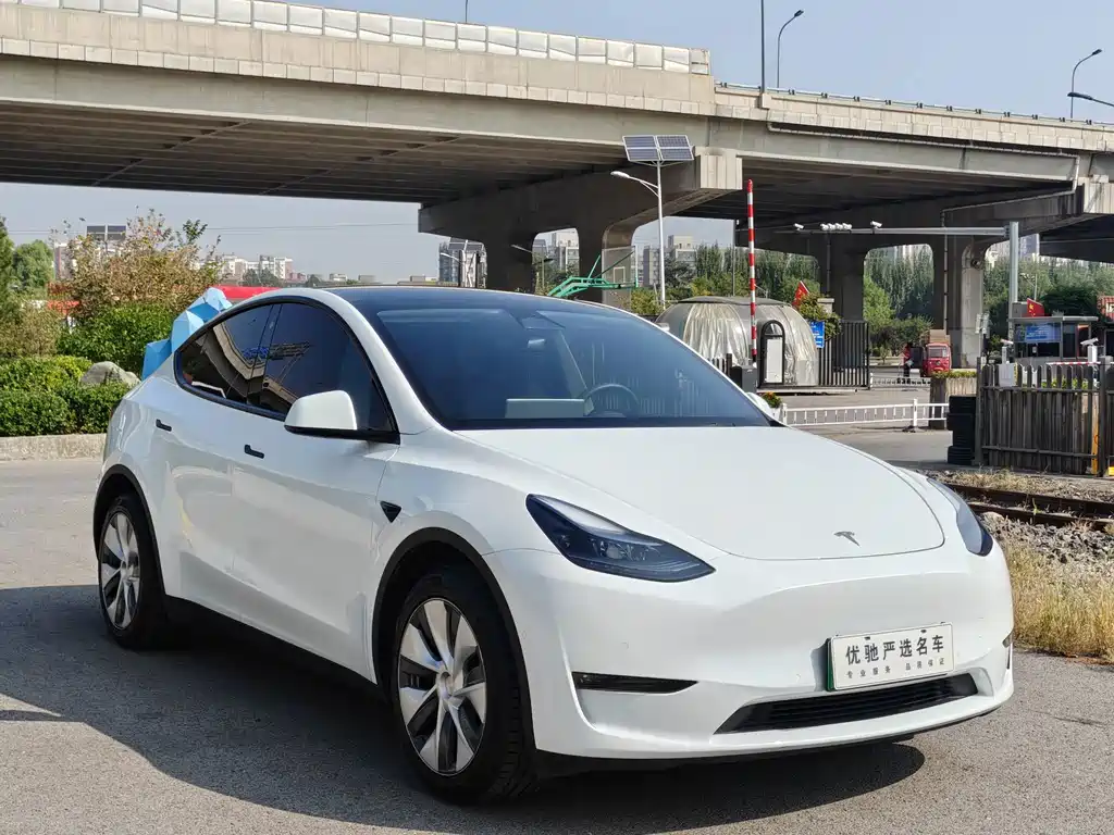Tesla Model Y — фото 3