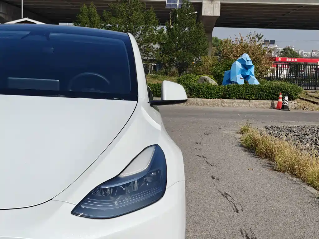 Tesla Model Y — фото 4