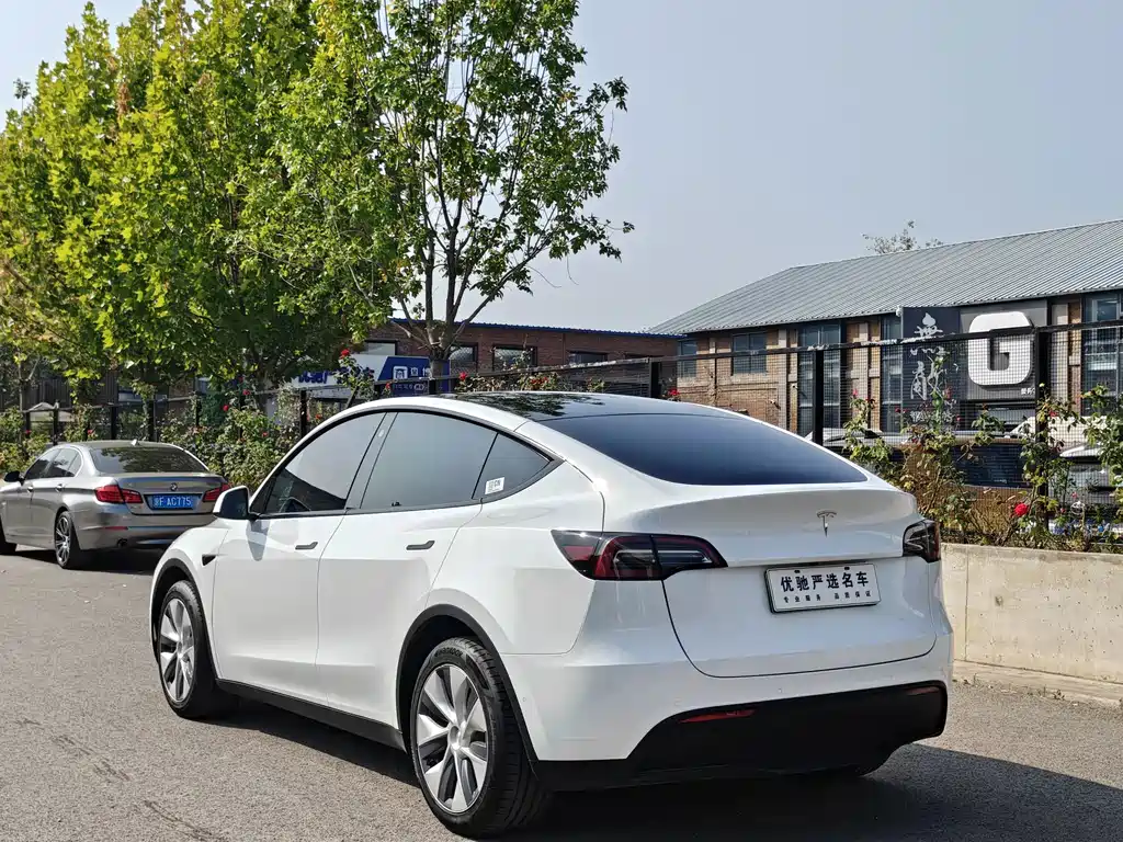 Tesla Model Y — фото 9