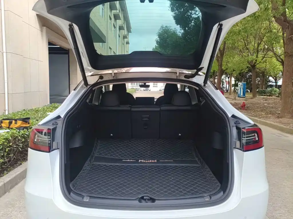 Tesla Model Y — фото 19