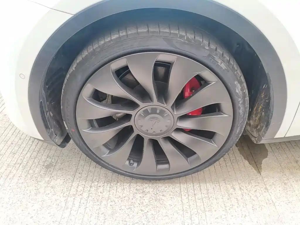 Tesla Model Y — фото 23