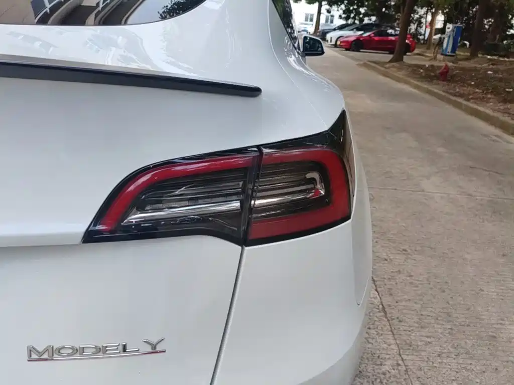 Tesla Model Y — фото 8