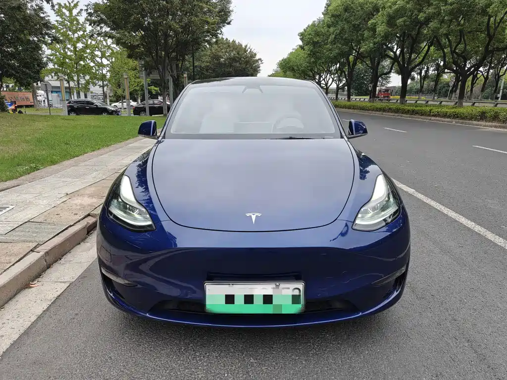 Tesla Model Y — фото 2