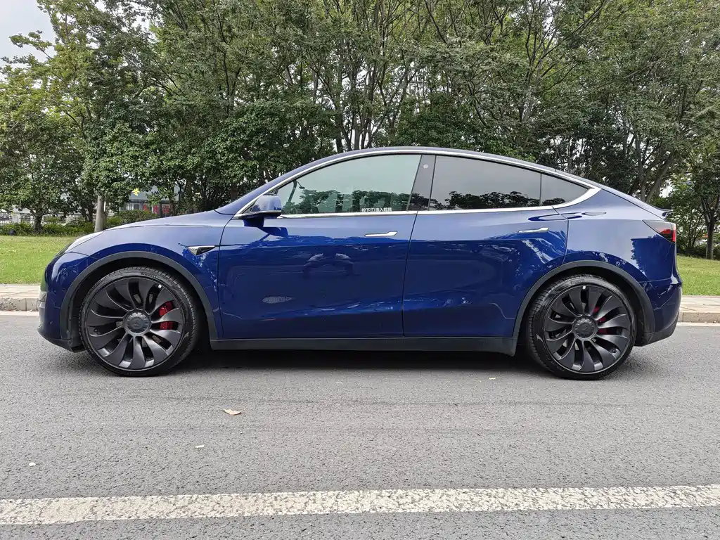 Tesla Model Y — фото 3