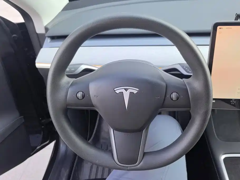 Tesla Model Y — фото 15
